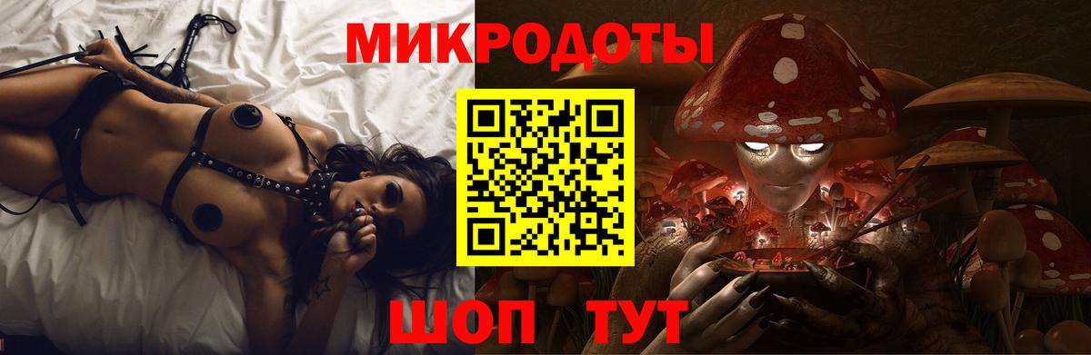 Бузулук  Псилоцибиновые грибы Psilocybe  Вход с VPN  Галлюциногенные грибы ЛСД 